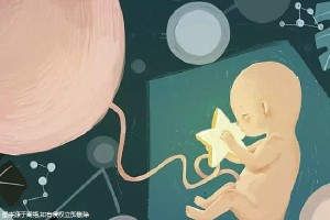 私人孕妈借卵代孕咨询微信号